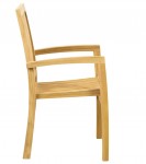 Superior Teak Lodge Armchair